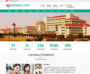 某某高级技工学校网站
